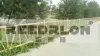 Bamboo-like guardrail, ecological park, farmstay, fence, playground, wall, bamboo joint, REEDRLON details Picture
